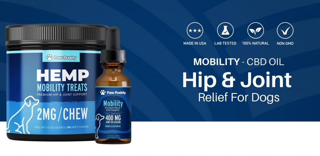 hip and joint relief for dogs