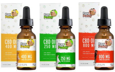 How much CBD oil should I give my dog for anxiety?